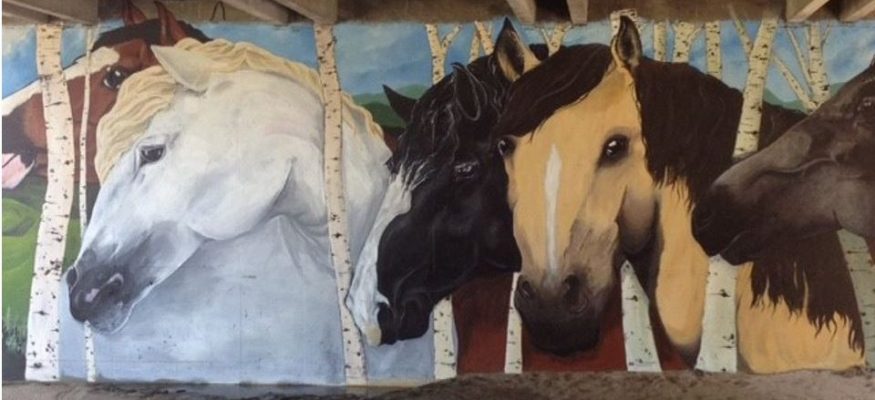 Horse Mural in Parker, CO