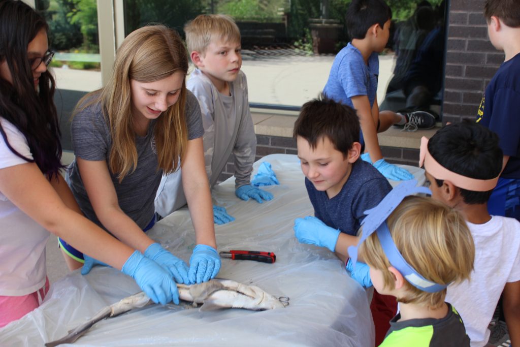 Biology Blast