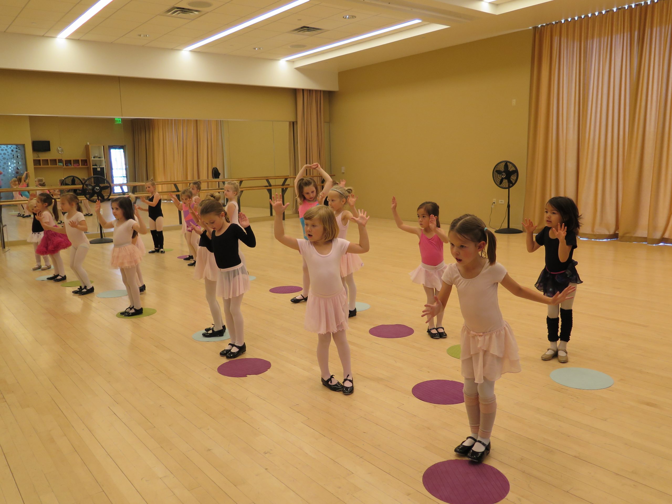 Beginning Butterfly Dance Camp