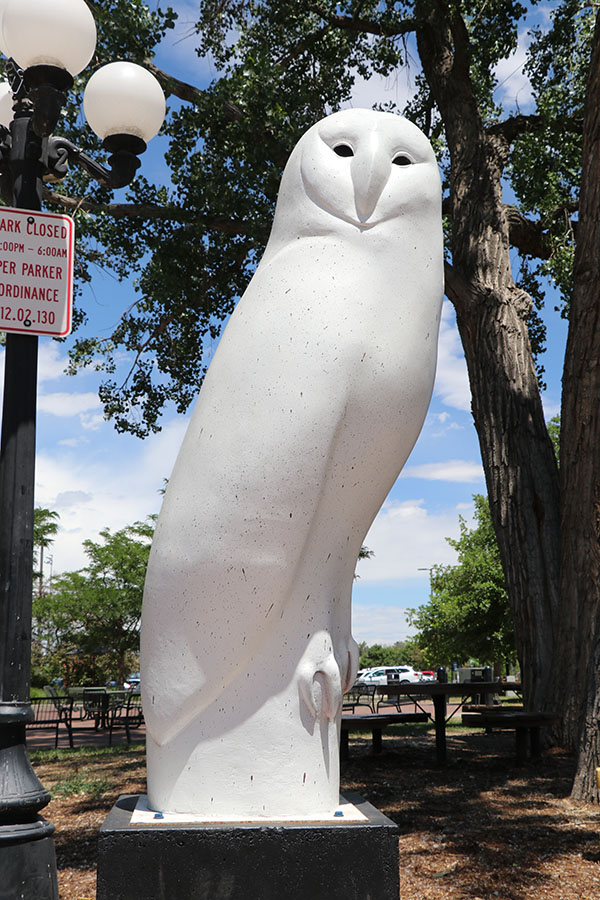 2022-2023 Art Encounters Exhibit_Snowy Owl